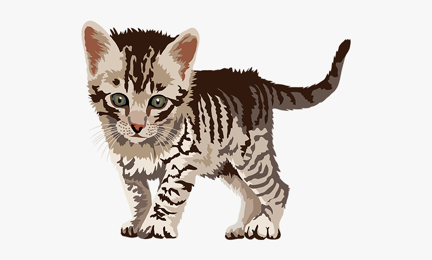 Cat Art, Stickers Messages Sticker-5 - Kitten, HD Png Download, Free Download