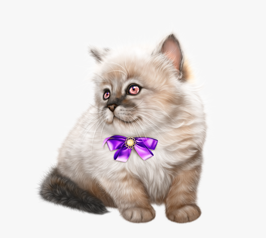 Tubes Chatons Png Cute Kitten Animaux Compagnie - Ragdoll Kittens Clipart, Transparent Png, Free Download