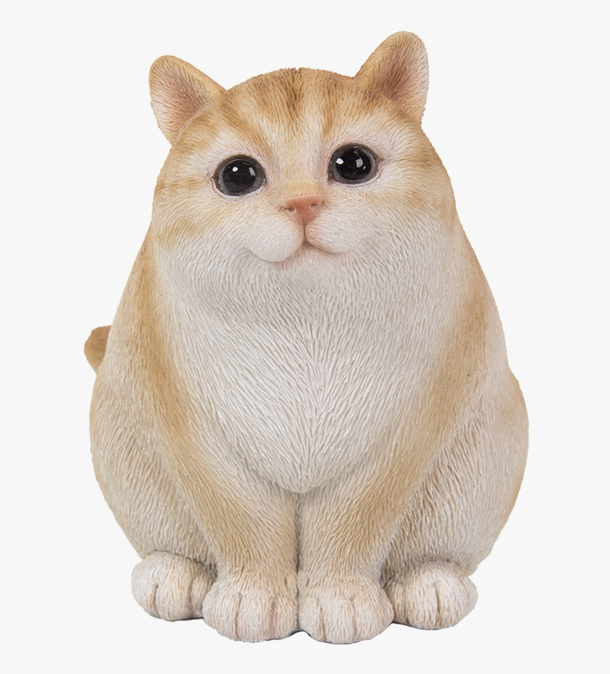 Fat Cat Png, Transparent Png, Free Download