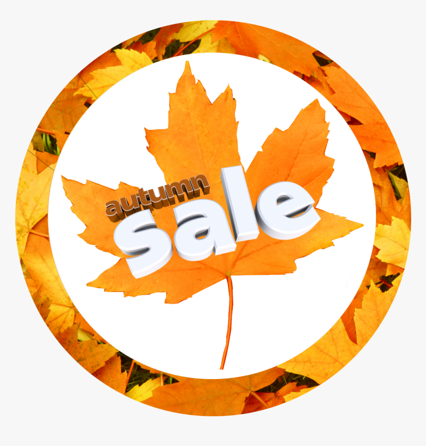 Autumn Sale Now, HD Png Download, Free Download