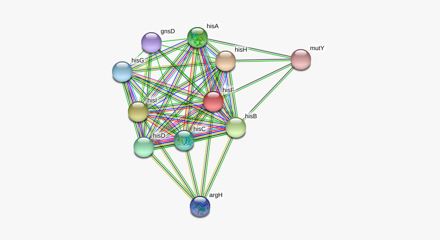 Hisf Protein - Circle, HD Png Download, Free Download