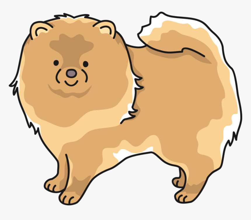 Fawn,companion Dog,carnivore - Pomeranian, HD Png Download, Free Download