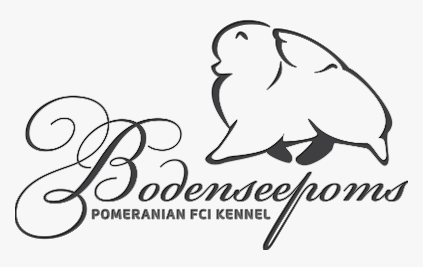 Bodenseepoms - Com - Pomeranian Logo, HD Png Download, Free Download