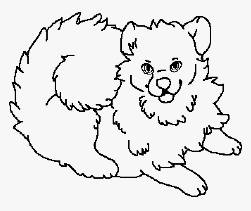 Pomeranian Png, Transparent Png, Free Download