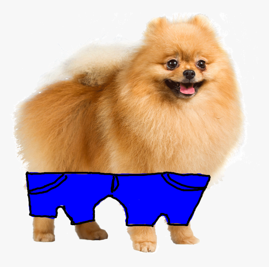 Transparent Background Puppy Png, Png Download, Free Download