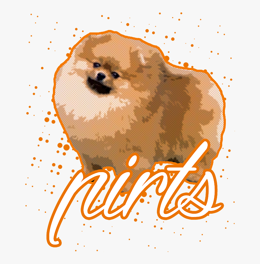 Pirtslogo Square - Pomeranian, HD Png Download, Free Download