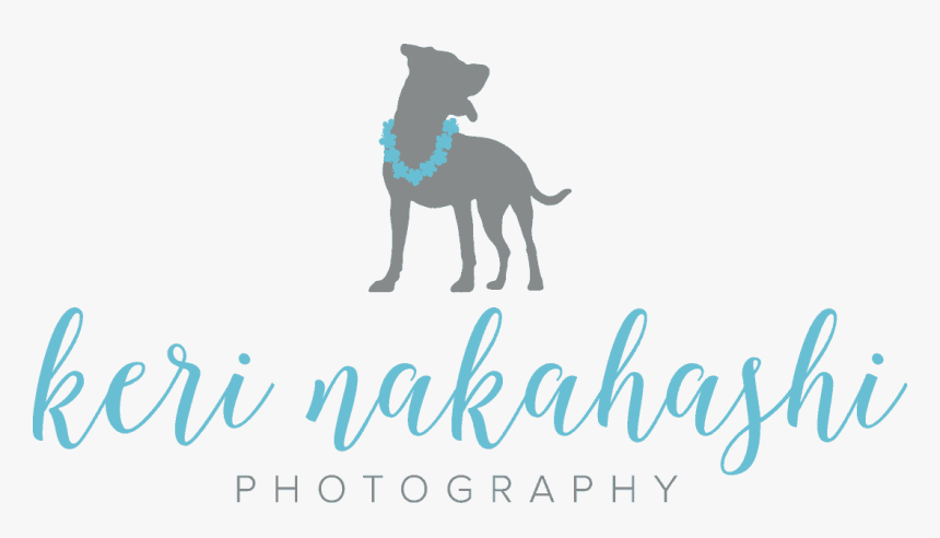 Keri Nakahashi Photography - Guard Dog, HD Png Download, Free Download