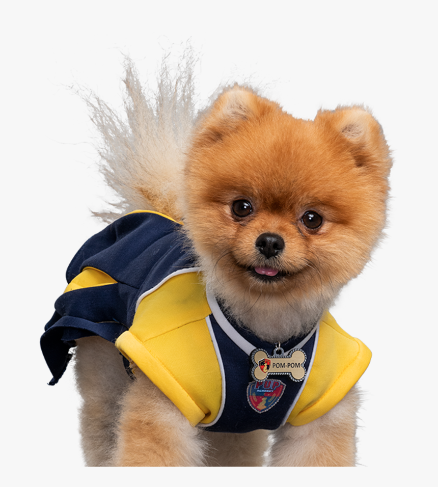 Pup Academy Cheerleader, HD Png Download, Free Download