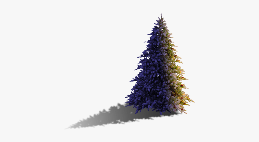 Christmas Tree, HD Png Download, Free Download