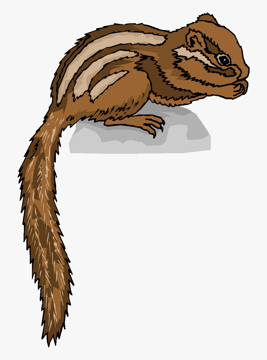 Transparent Background Chipmunk Clipart Chipmunk Png, Png Download, Free Download