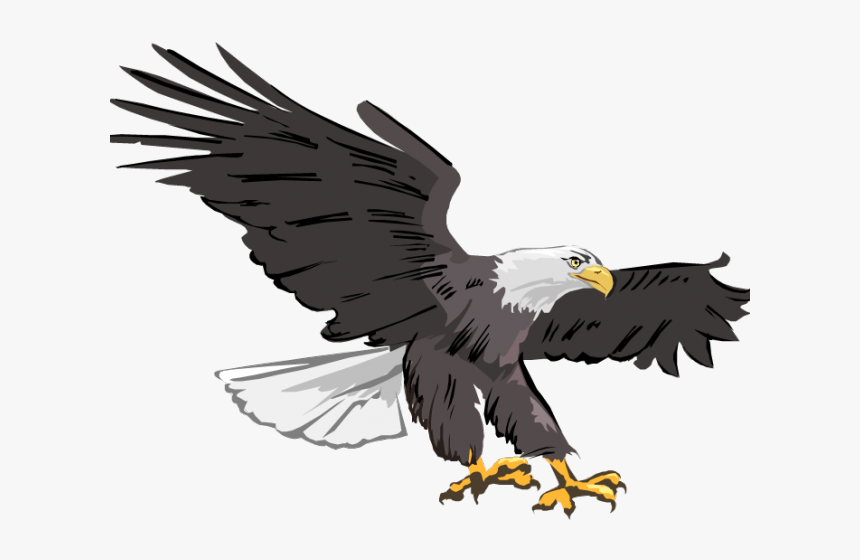 Transparent Eagles Clipart Png - Clipart Transparent Background Flying Eagle,  Png Download - kindpng