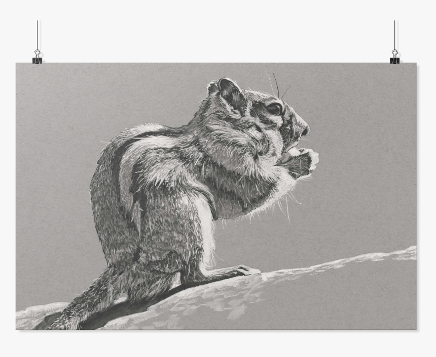 Grizzly Bear, HD Png Download, Free Download