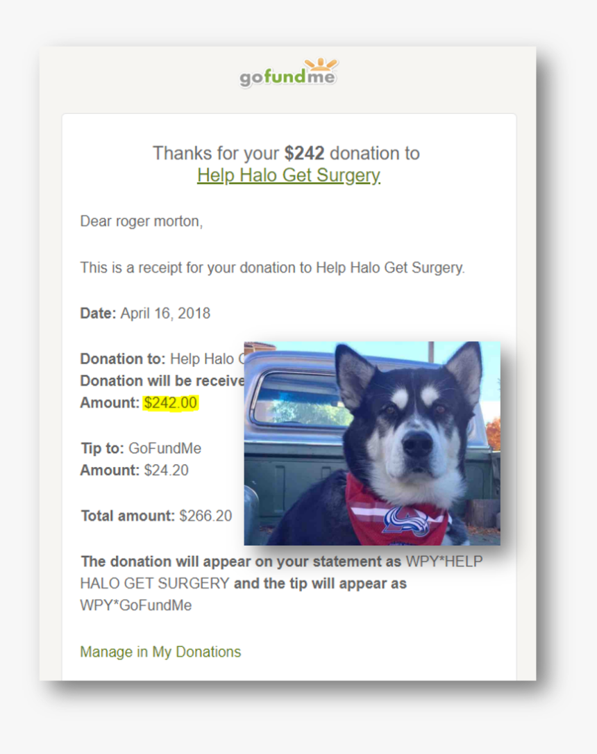 Gofundme, HD Png Download, Free Download