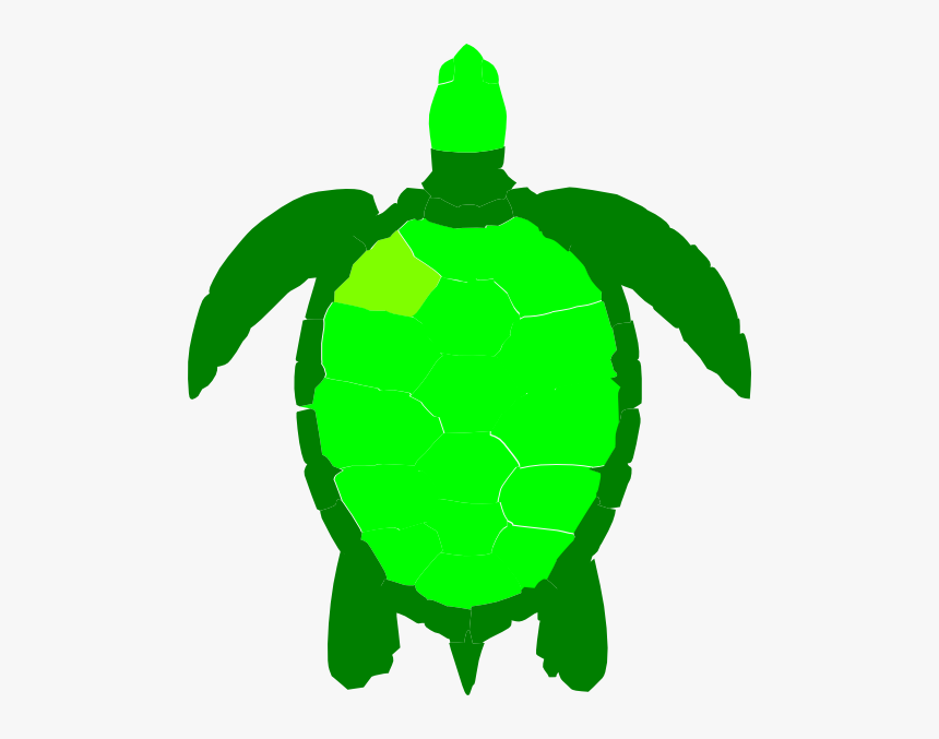 Green Sea Turtle Reptile Clip Art - Sea Turtle Silhouette Png, Transparent Png, Free Download