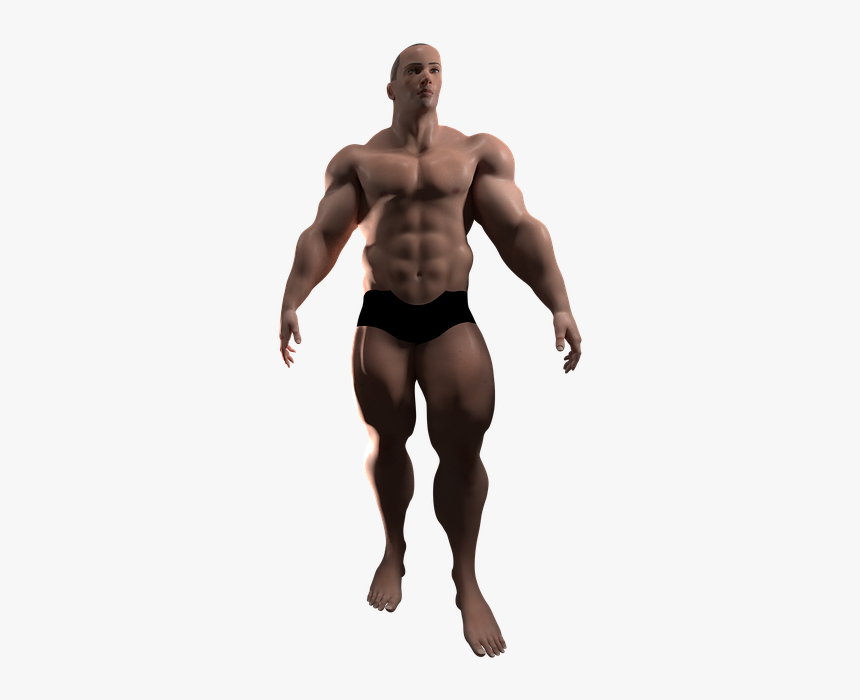 Bodybuilding, HD Png Download, Free Download