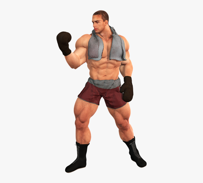 Man, Muscles, Fitness Studio, Sixpack, Muscular - Wrestler, HD Png Download, Free Download
