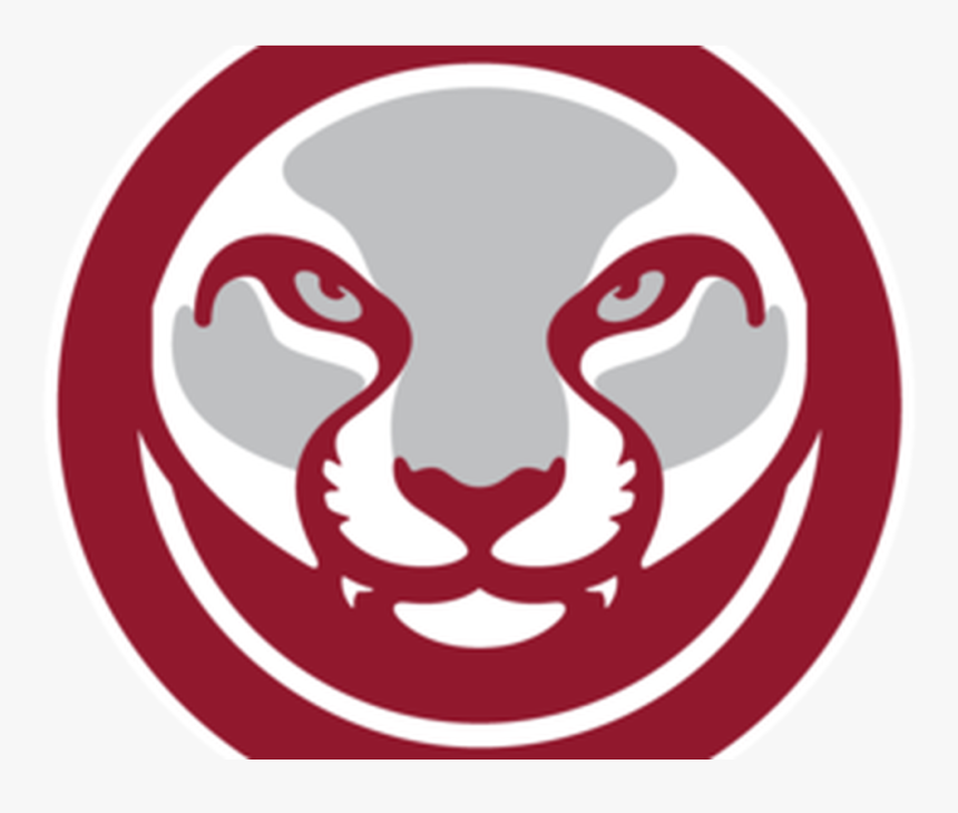 Hiro-ism Of The Day - Washington State Cougars Football, HD Png Download, Free Download