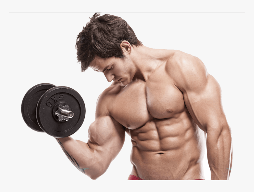 Transparent Bodybuilders Clipart - Body Building, HD Png Download, Free Download
