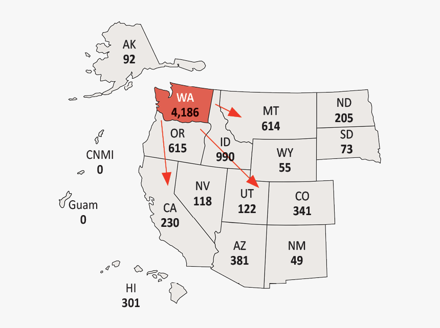 Wue Student Distribution From Washington - Student's T-distribution, HD Png Download, Free Download