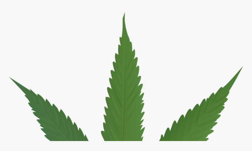 Cannabis Leaf , Png Download - Marijuana Outline, Transparent Png, Free Download