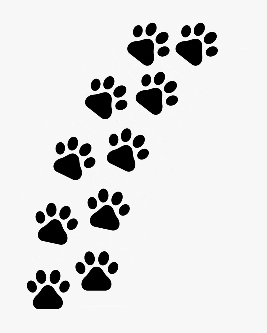 Patinhas De Cachorro Png - Cat Paw Prints Clipart, Transparent Png, Free Download