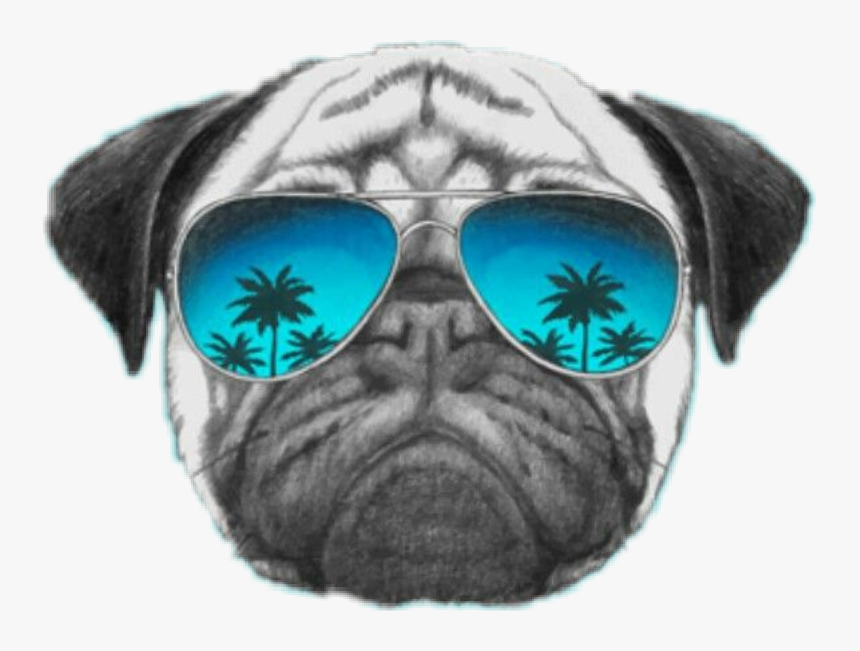 Pug Dog Wallpaper Iphone, HD Png Download, Free Download