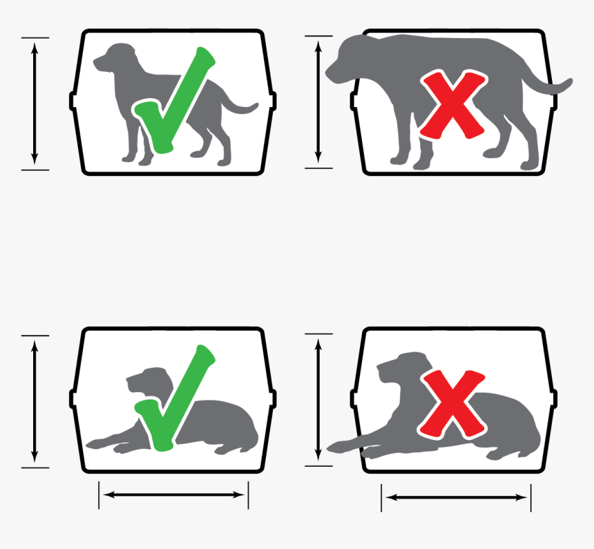 Transparent Round Trip Ticket Clipart - Dogs Travelling By Flight In India, HD Png Download, Free Download