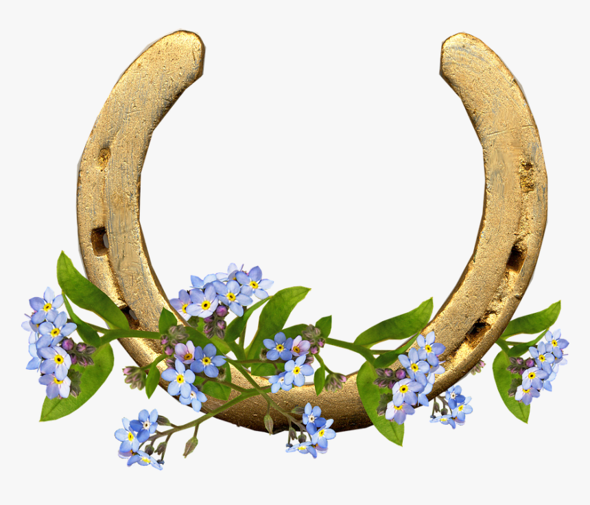 Horse Shoe, Forget Me Not, Flowers, Lucky - Imagenes De Herraduras Bonitas, HD Png Download, Free Download