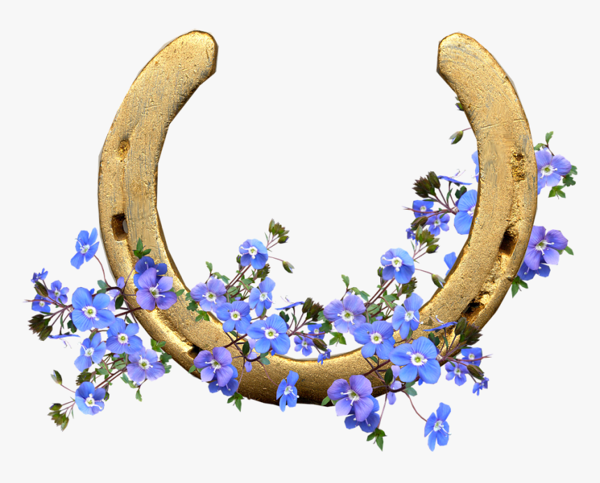 Horse Shoe, Blue Flowers, Lucky, Wishes - Delphinium, HD Png Download, Free Download