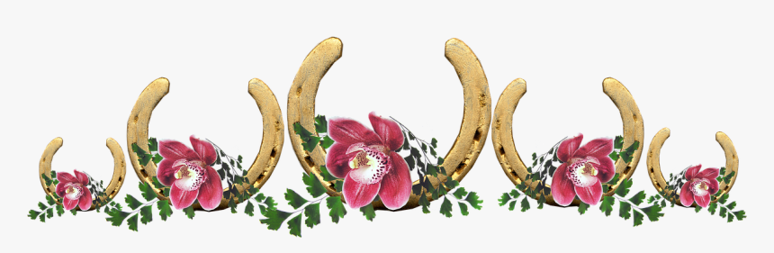 Lucky, Horse Shoes, Orchids, Flowers, Arrangement - Horseshoe With Flowers Png, Transparent Png, Free Download