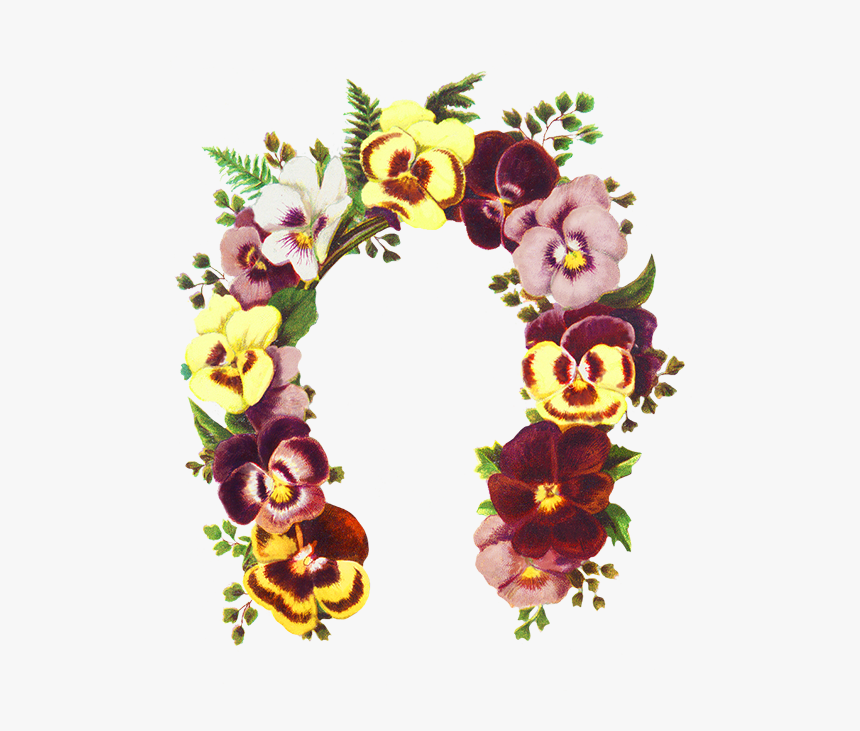 Flowers Shaped As A Horse Shoe - Floral Horse Border, HD Png Download, Free Download
