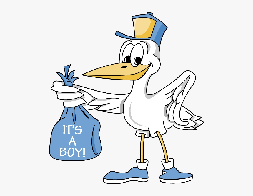 Vector Free Download Cartoon Stork Image Delivering - Stork Its A Boy, HD Png Download, Free Download