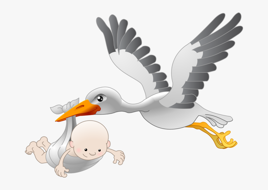 Transparent Stork Clipart - Stork Baby, HD Png Download, Free Download