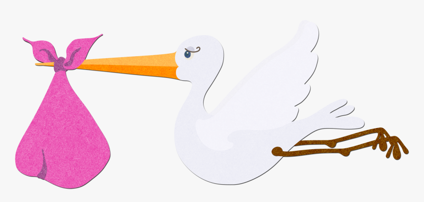 Transparent Stork Carrying Baby Clipart, HD Png Download, Free Download