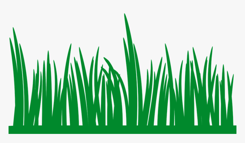 Grass Clipart, HD Png Download, Free Download