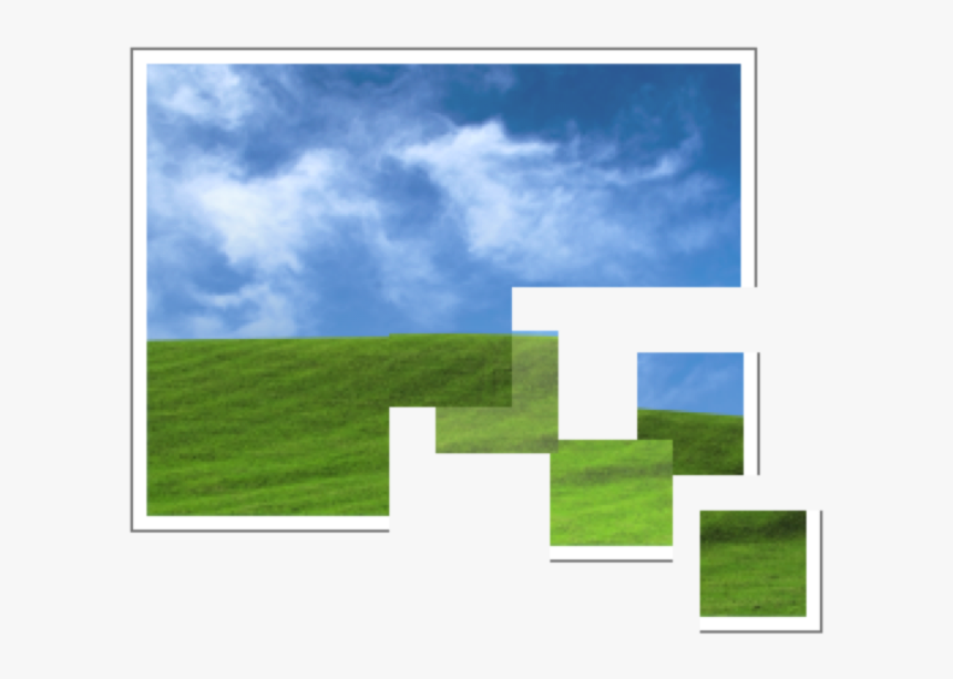 Grass, HD Png Download, Free Download