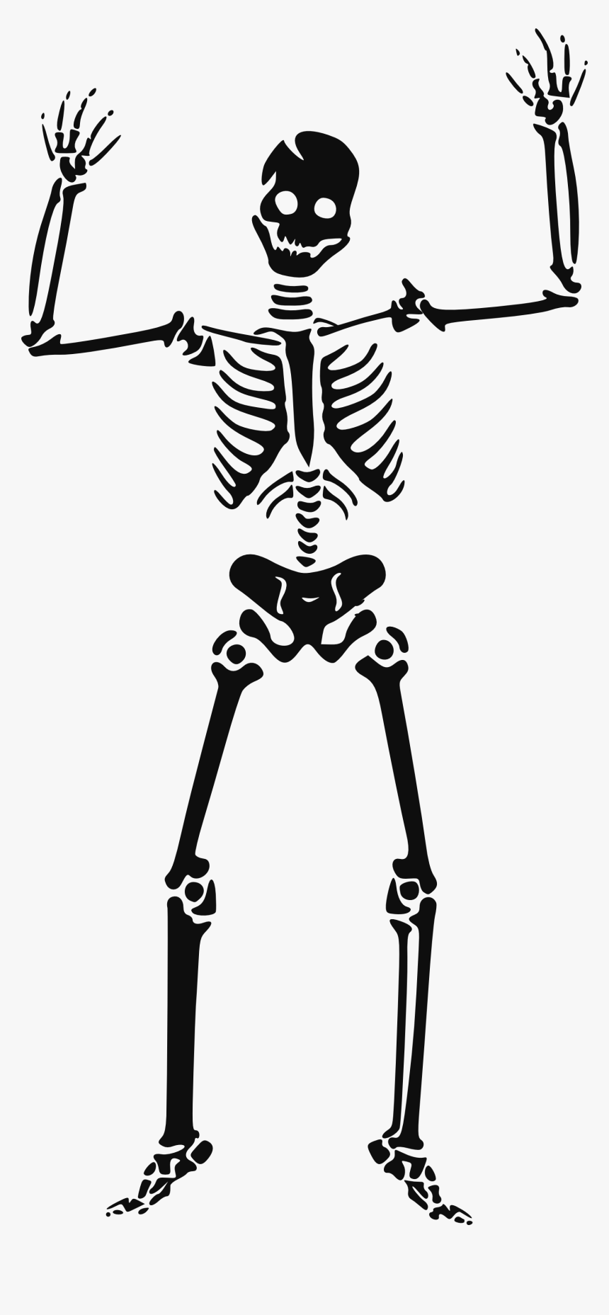 Famine Clip Art - Skeleton Clipart, HD Png Download, Free Download