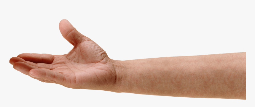 Hand Png Image - Hand Png, Transparent Png, Free Download