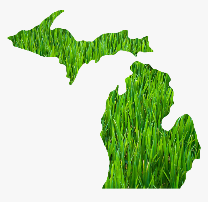 Michigan Outline Grass - Michigan Vector, HD Png Download, Free Download