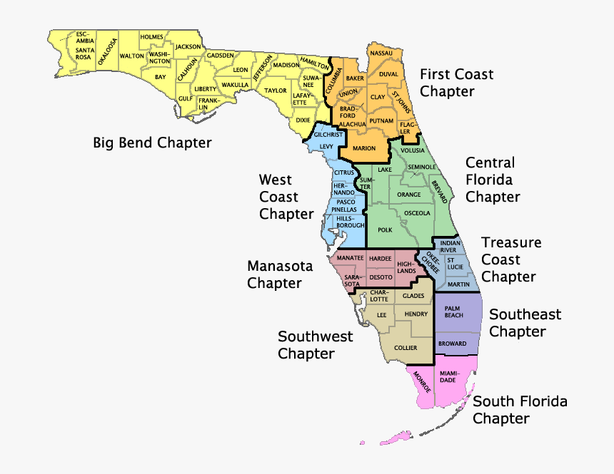 Florida Map Png - Florida Map Big, Transparent Png, Free Download