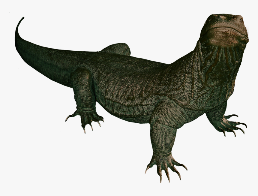 Komodo Dragon Clipart - Komodo Dragon Transparent Background, HD Png Download, Free Download