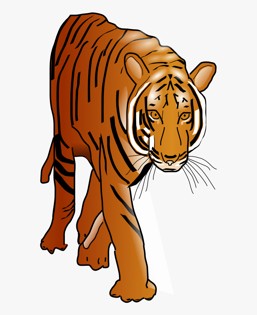 Tiger - Tiger Walking Gif Png, Transparent Png, Free Download
