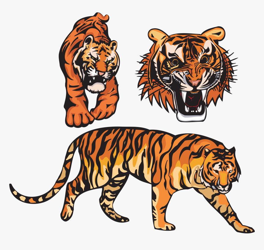 Vektor Tegak Gambar Harimau Vektor Png