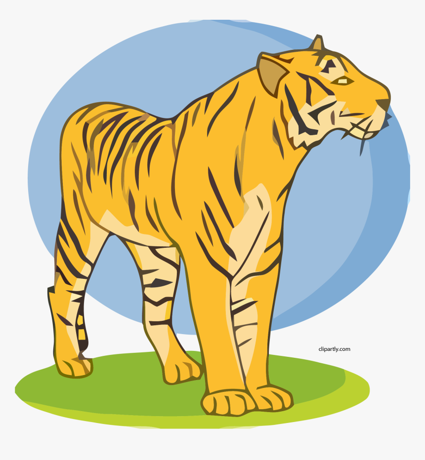 Transparent Tiger Clipart Png - Tiger, Png Download, Free Download