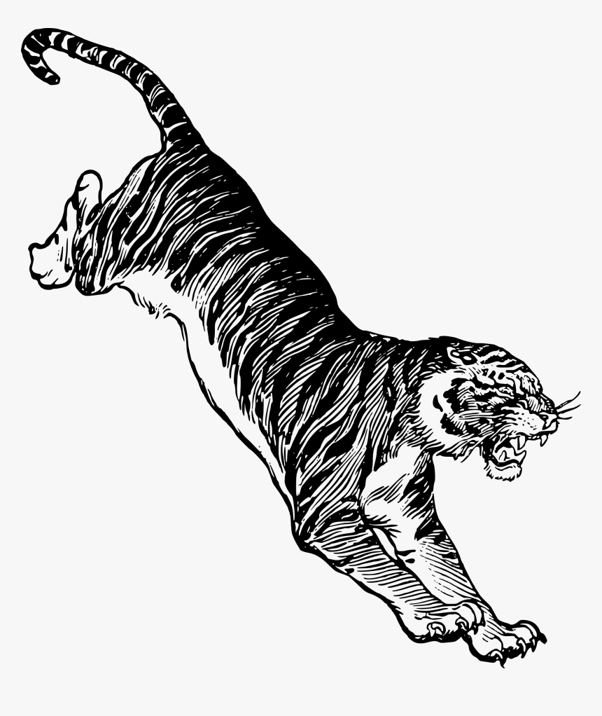 Tiger Clipart Png, Transparent Png, Free Download