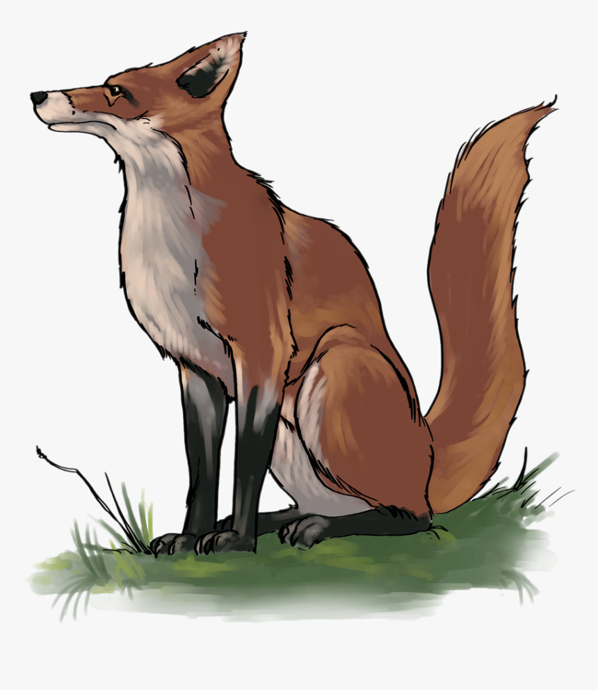 Fox Clipart School Pencil And In Color Fox Clipart - Fox Clipart, HD Png Download, Free Download