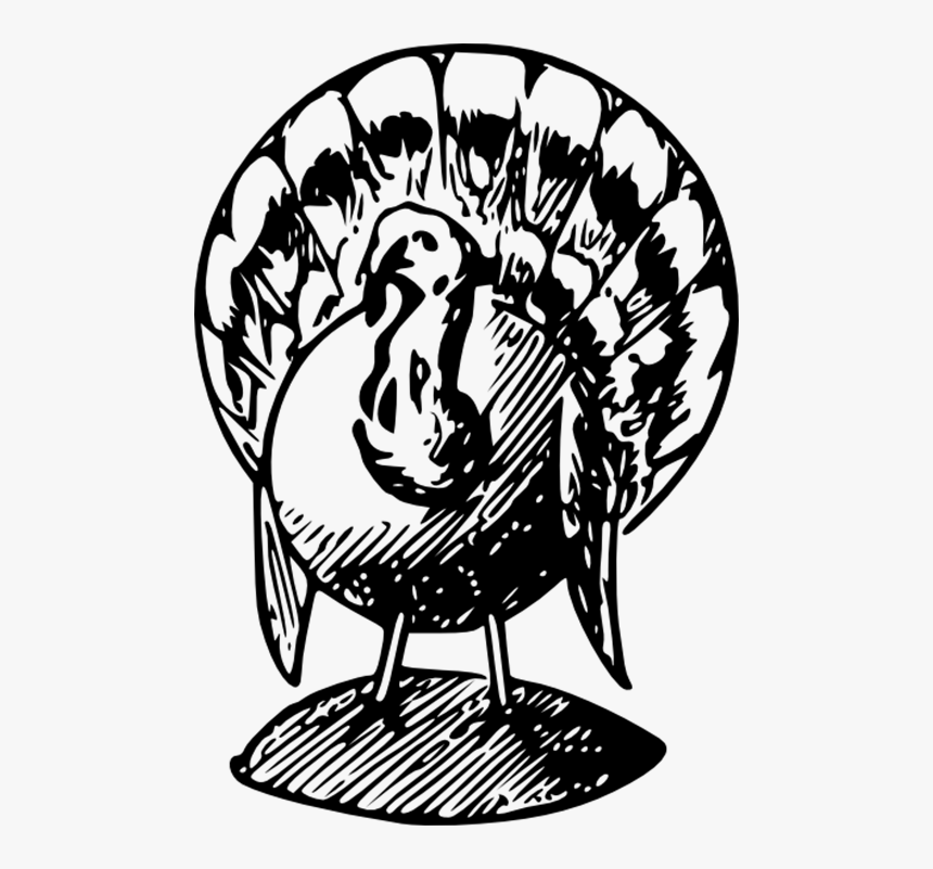 Happy Thanksgiving Clipart - Transparent Black And White Turkey Clipart, HD Png Download, Free Download