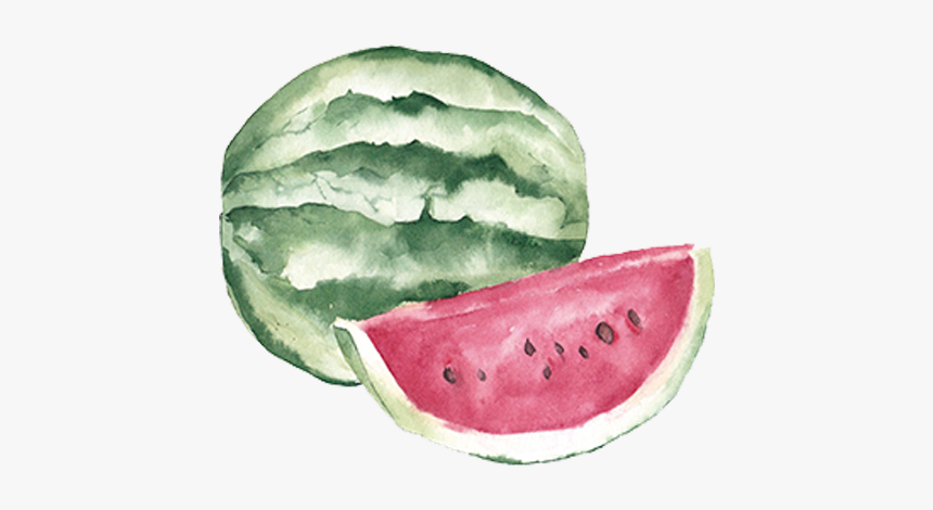 Fruit Auglis Clip Art - Watermelon Clipart Watercolor, HD Png Download, Free Download