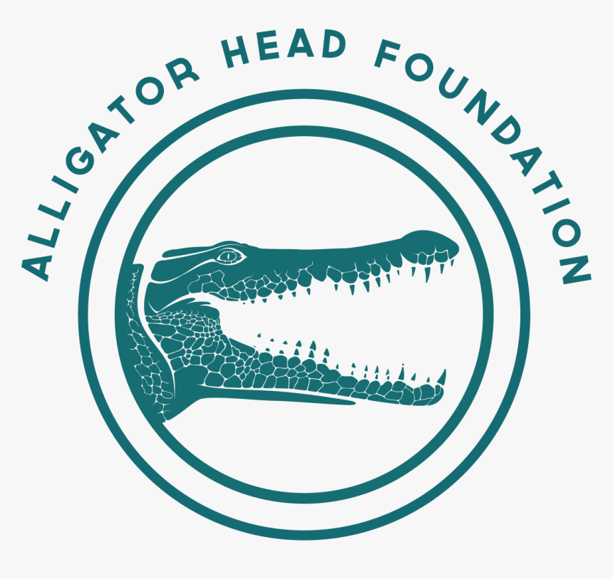 Alligator Head Foundation - Alligator Head Foundation Jamaica, HD Png Download, Free Download