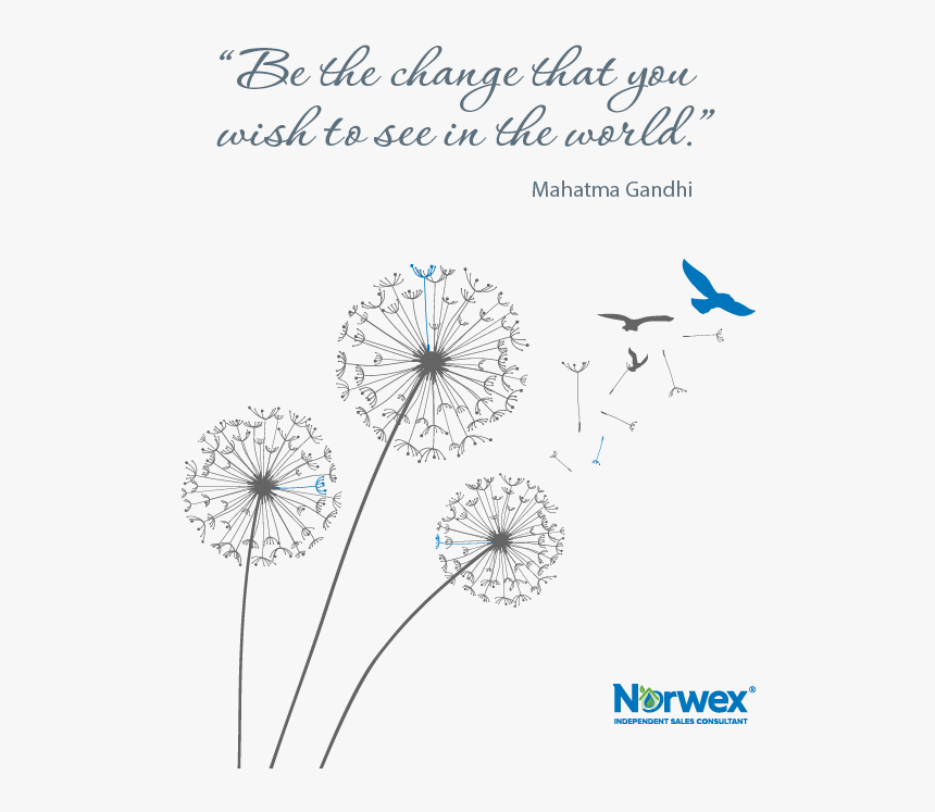 Thank You Norwex, HD Png Download, Free Download